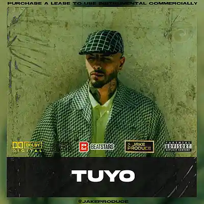 Picture for song '(TUYO) Rauw Alejandro Type Beat DANCEHALL' by artist 'Jake Produce'