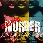 Picture for song 'Beautiful Murder (Audio Only).wmv.mp3' by artist 'Junior Martinez'