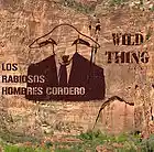 Picture for song 'Wild Thing' by artist 'LOS RABIOSOS HOMBRES CORDERO'