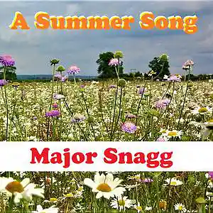 Picture for song 'A Summer Song' by artist 'Major Snagg'