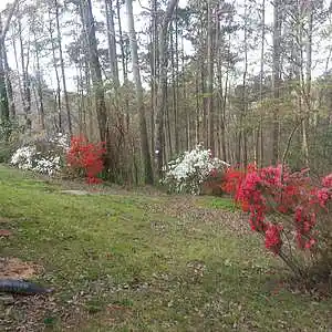 Picture for song 'She Likes Country Music' by artist 'Michael R Baggett'