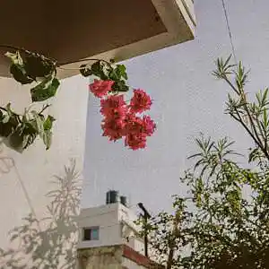 Picture for song 'i n t e n t i o n' by artist 'og naj'