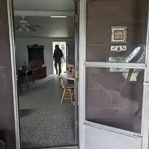 Picture for song 'Mosquito Vulgarities: Spurbirds Migration 3' by artist 'paul gorman and the hypnotist collectors'