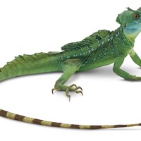 Picture for song 'Little Lizard' by artist 'Peter Kosta's Galaxy Rock Band'