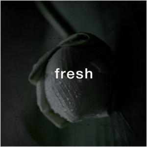 Picture for song 'Fresh (Piano Boom Bap)' by artist 'Puls Ever'