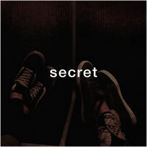 Picture for song 'Secret (Boom Bap Piano)' by artist 'Puls Ever'