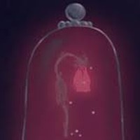 Picture for song 'rhide on' by artist 'Roger mc'