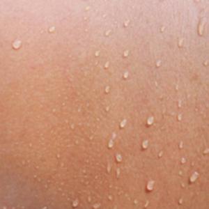 Picture for song 'The Walls of my Skin' by artist 'The Trigger'