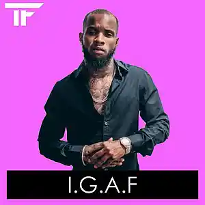 Picture for song 'IDGAF' by artist 'TrackFiendz'