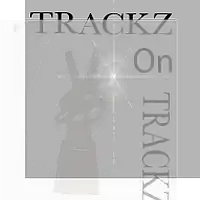 Picture for song 'SHE KICK IT BOTH WAYS (HIP HOP, HOOK)' by artist 'TrackzOnTrackz'