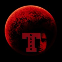 Picture for song 'Momma Mars' by artist 'Turtle Necromancer'