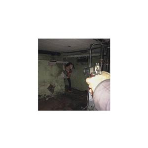 Picture for song 'SHOOTER (FEAT. RAAVN REVENGE)' by artist 'WOEBEGHON'