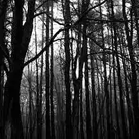 Picture for song 'The Darkness' by artist 'Axis Eve'