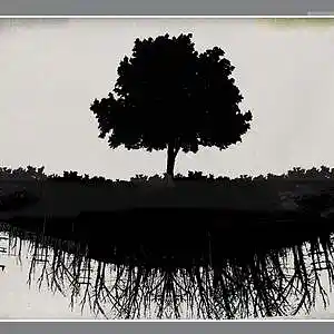 Picture for song 'Heartbeat gone' by artist 'Distant Towers'