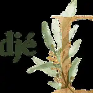 Picture for song 'Didjé P. - Don't be afraid' by artist 'DjMP and the AIR band'