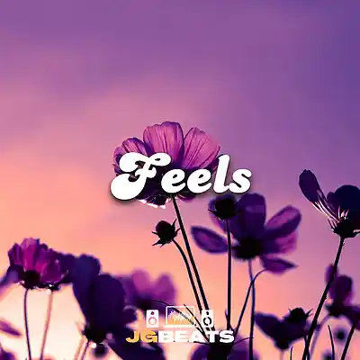 Picture for song 'Feels' by artist 'Joe Gautrey'