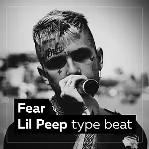 Picture for song 'Fear (Lil Peep type beat)' by artist 'Noire Beats'