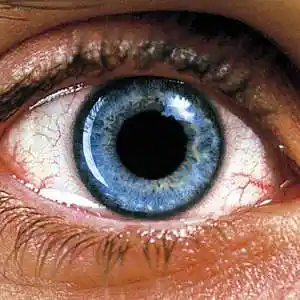 Picture for song 'Requim For A Dream Theme' by artist 'Previous Signs of Decay'