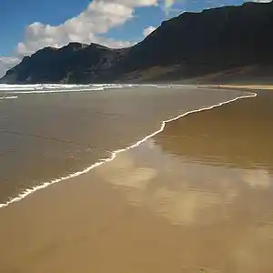 Picture for song 'All I need 2010' by artist 'RCB RECORDING STUDIO'