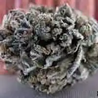 Picture for song 'Gas Up' by artist 'Shawn P Exclusives'