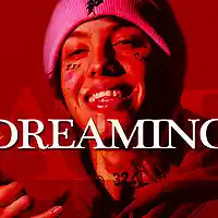 Picture for song 'LIL XAN TYPE BEAT - DREAMING' by artist 'Gravy210'