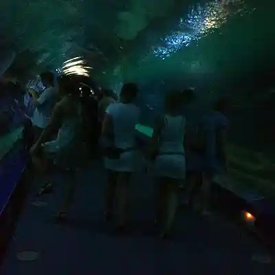 Picture for song 'reavenous' by artist 'Guilbertox'