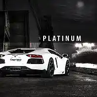 Picture for song 'Platinum*TRAP*' by artist 'NewRow Production'