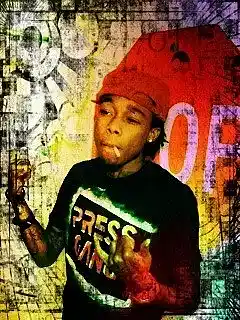 cover pic