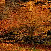 Picture for song 'Holy ground' by artist 'Paddy McConnell family and friends'