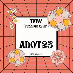 Picture for song 'TMW ( Tell Me Why )' by artist 'Adot23'
