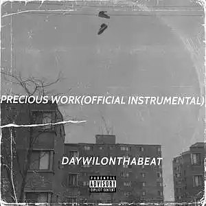 Picture for song 'Precious Work(Official Instrumental)' by artist 'DAYWILONTHABEAT'