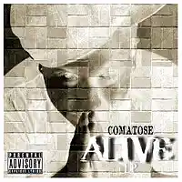 Picture for song 'It Ain't Funny - Comatose (Radio Edit)' by artist 'imComatose'