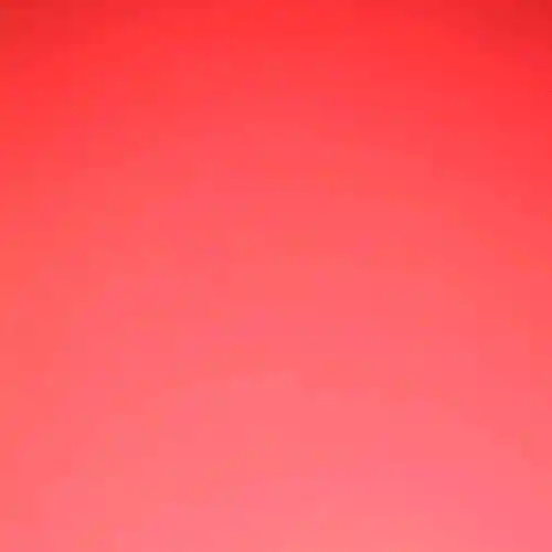 cover pic