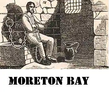 Picture for song 'Moreton Bay (2026 mix)' by artist 'Major Snagg'