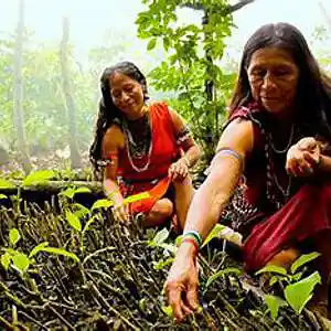 Picture for song 'emotion l pro' by artist 'mcmakktenicetxtheprince'