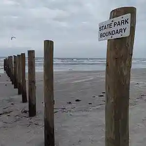 Picture for song 'Figure It Out In Galveston' by artist 'paul gorman and the hypnotist collectors'