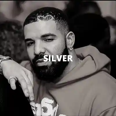 Picture for song 'Silver (Buy 1 Get 10 Free)' by artist 'Kontraa'