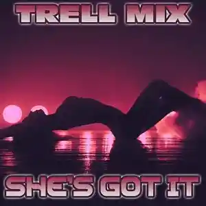 Picture for song 'SHE'S GOT IT' by artist 'TRELL MIX 209'