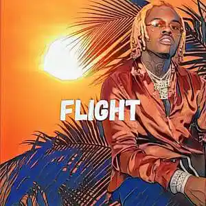 Picture for song 'FLIGHT - BUY 1 GET 4 FREE - Gunna Type Beat' by artist 'TSH'