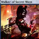 Picture for song 'Walker of Secret Ways' by artist 'Void Productionz Beats'