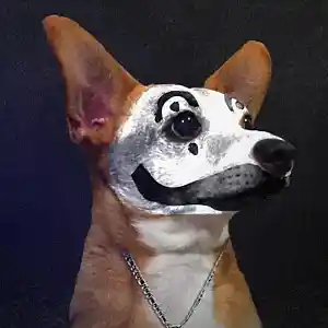 Picture for song 'MR BOOMBASTIK (BUY 1 GET 4 FREE)' by artist 'DreamBigRecords'