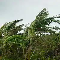 Picture for song '*NEW*Sway*NEW*' by artist 'Kooge'