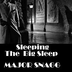 Picture for song 'Sleeping The Big Sleep (a film-noir )' by artist 'Major Snagg'