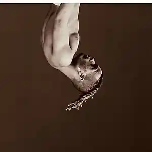 Picture for song 'ripX' by artist 'MfGainz'