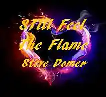 Picture for song 'Still Feel The Flame' by artist 'Steve Domer'