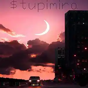 Picture for song 'Lovely' by artist 'Stupimira'