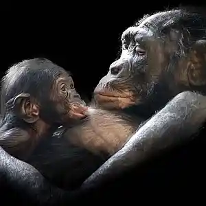 Picture for song 'I'm trying to understand you' by artist 'allbestok'