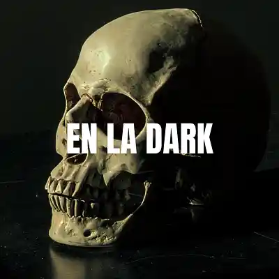 Picture for song 'En La Dark - Boombap Dark Style Beat' by artist 'CanaHype'