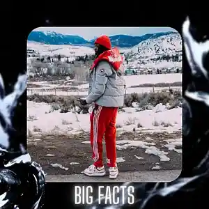 Picture for song '"Big Facts" Rio Da Yung Og & Babyfxce E Type Beat' by artist 'D V 1 R V E R S BEATS'