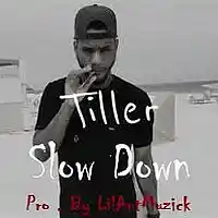 Picture for song 'Bryson Tiller Beat Slow Down Pro by LilAntMuzick' by artist 'Lil Ant Muzick'